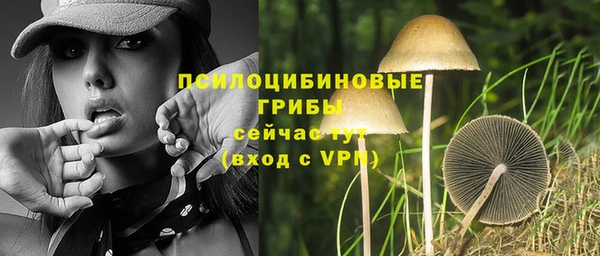 ECSTASY Козельск