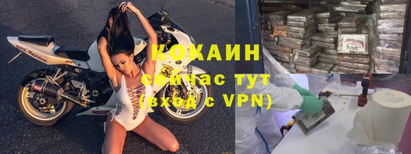 сатива Дегтярск