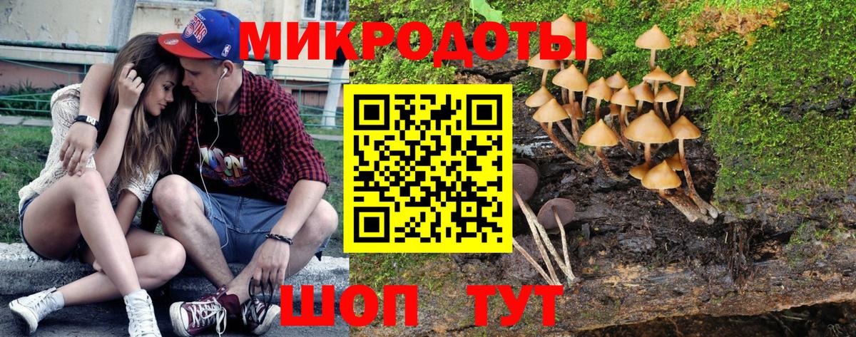 Кировск  Галлюциногенные грибы MAGIC MUSHROOMS  дарнет шоп  Вход с VPN  Псилоцибиновые грибы мицелий 