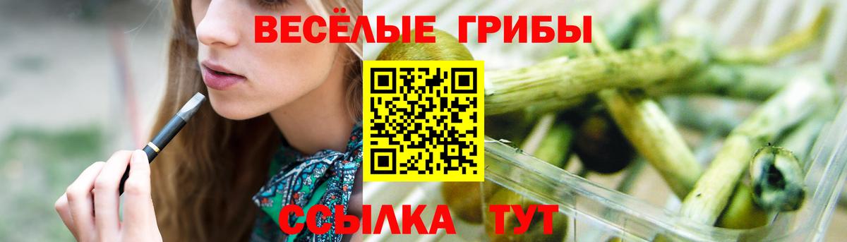 Галлюциногенные грибы Cubensis Кировск