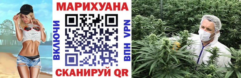 Шишки марихуана Bruce Banner  хочу   Кировск 